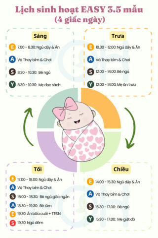 Lịch Sinh Hoạt Của Bé 2 Tháng Tuổi Chuẩn Khoa Học Mới Nhất