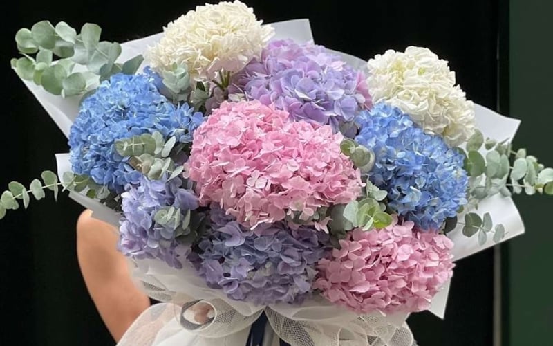 Bó hoa cẩm tú cầu đa sắc tượng trưng cho lòng biết ơn và sự chân thành, gợi ý khi khám phá loài hoa tượng trưng cho tên bạn