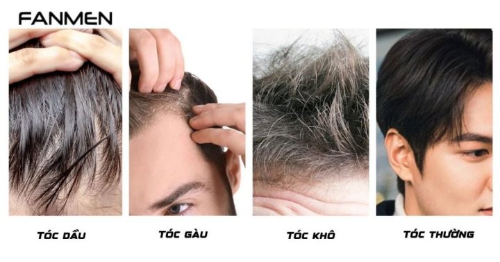 Dầu gội cho nam tốt nhất phân loại theo loại tóc