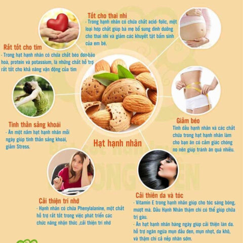 Ly sữa đậu đen óc chó hạnh nhân thơm ngon