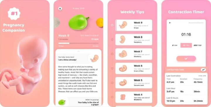 Màn hình app Baby Bump hiển thị thông tin về sự phát triển của em bé trong thai kỳ