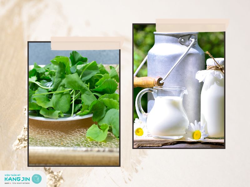 Mặt Nạ Rau Má Sữa Tươi: Bí Quyết Dưỡng Da Toàn Diện Từ Thiên Nhiên