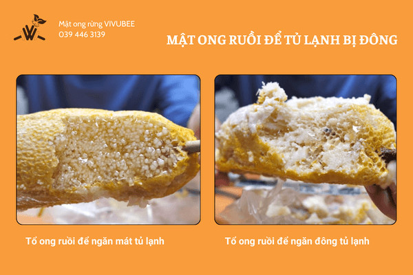 Thử Mật Ong Bỏ Tủ Lạnh Có Đông Không? Giải Mã Hiện Tượng Kết Tinh