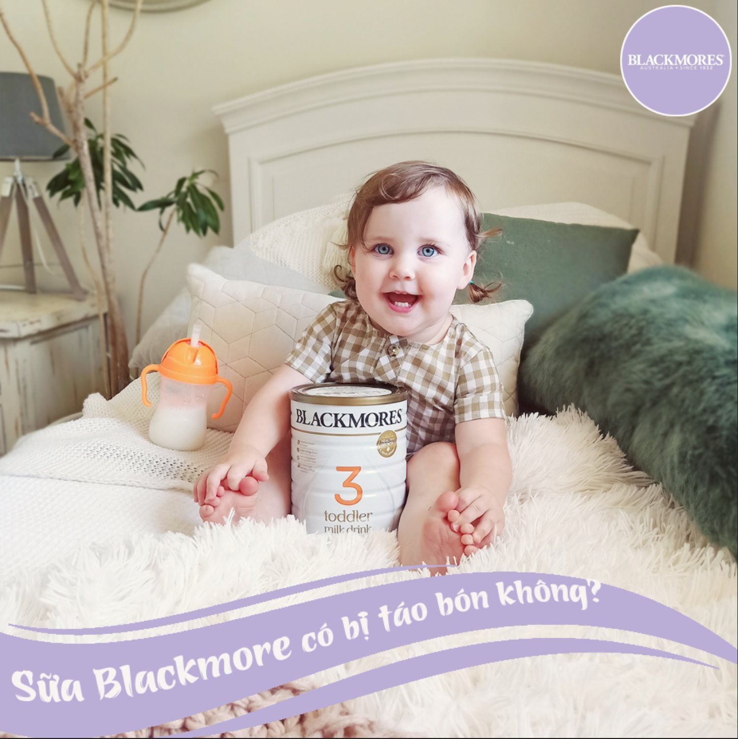 Sữa Blackmores có bị táo bón không? Giải đáp chi tiết cho mẹ