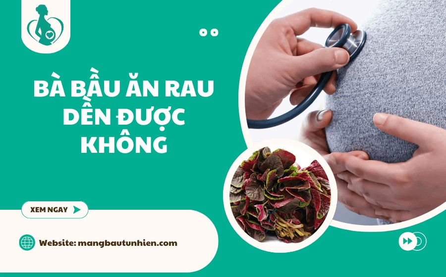 Mẹ bầu 3 tháng đầu ăn rau dền an toàn và bổ dưỡng