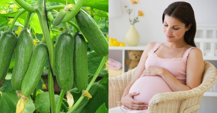 Bà Bầu Ăn Dưa Chuột Được Không? Lợi Ích & Lưu Ý Chi Tiết