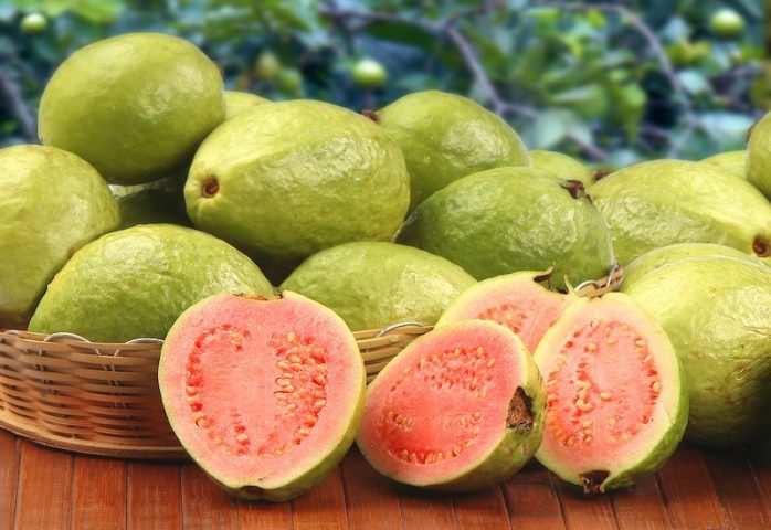 Mẹ Bầu Ăn Ổi Được Không: Chuyên Gia Giải Đáp Chi Tiết