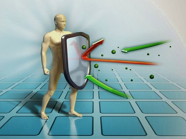 Men vi sinh trong sữa chua tăng cường sức đề kháng cho hệ tiêu hóa