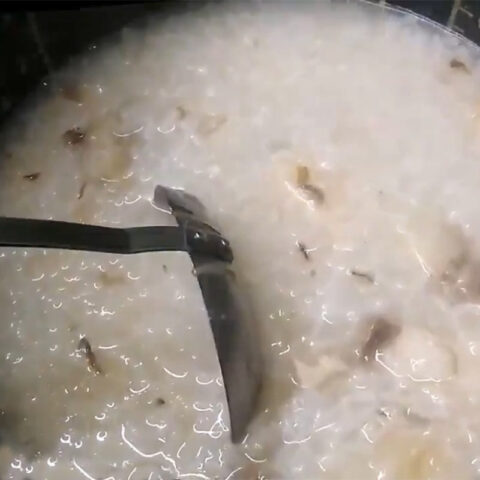 Món cháo cá bớp thì là thơm ngon cho bé