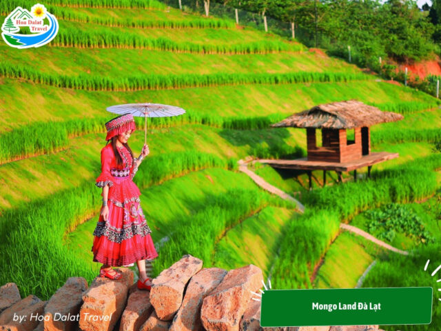 Mongo Land với phong cách Mông Cổ, một khu vui chơi trẻ em ở Đà Lạt độc đáo
