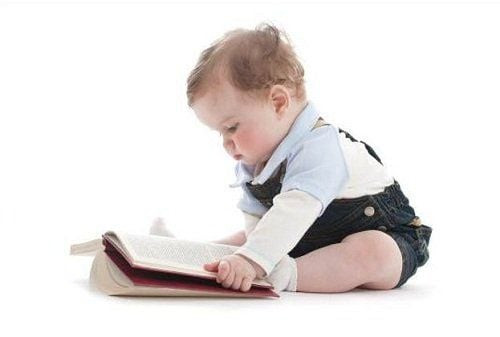 DHA Có Nhiều Trong Thực Phẩm Nào: Hướng Dẫn Chi Tiết Từ A-Z
