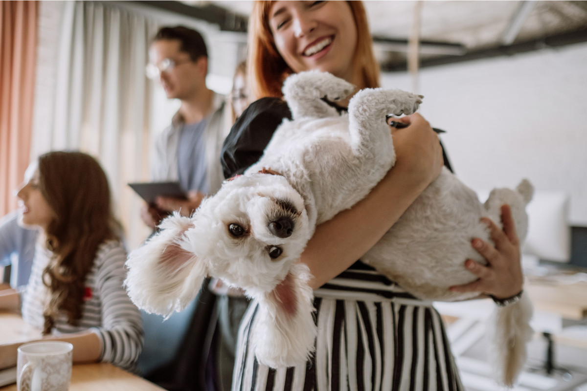 Lợi ích của việc nuôi thú cưng: Nâng tầm cuộc sống toàn diện