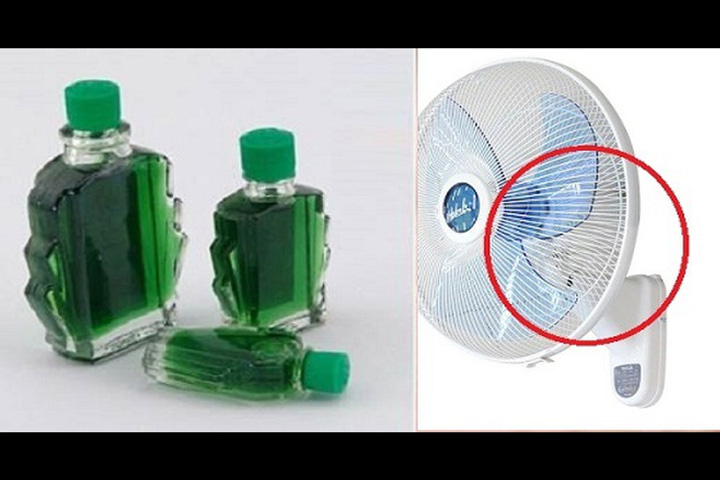 Cách Đuổi Muỗi Hiệu Quả Nhất Bảo Vệ Sức Khỏe Gia Đình