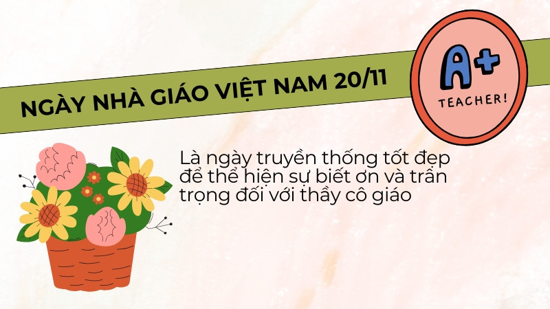 Quà Tặng Thầy Cô Ý Nghĩa: Hơn 50 Gợi Ý Chân Thành, Sâu Sắc