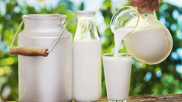 Uống Nhiều Sữa Tươi Không Đường Có Tốt Không? Chuyên Gia Giải Đáp