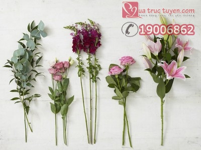Cắm hoa 20 11 đẹp và ý nghĩa: Hướng dẫn chi tiết từ A-Z