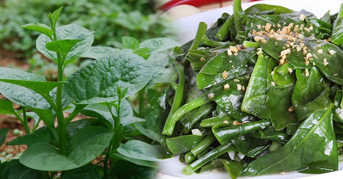 Nguyên liệu mồng tơi tươi và tỏi cho món xào đơn giản