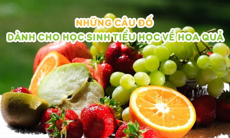 501+ Câu Đố Hay Cho Học Sinh Tiểu Học Kèm Đáp Án