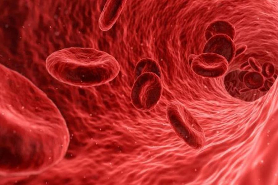 Nước ép dưa hấu giàu Lycopene hỗ trợ lưu thông máu và sức khỏe tim mạch
