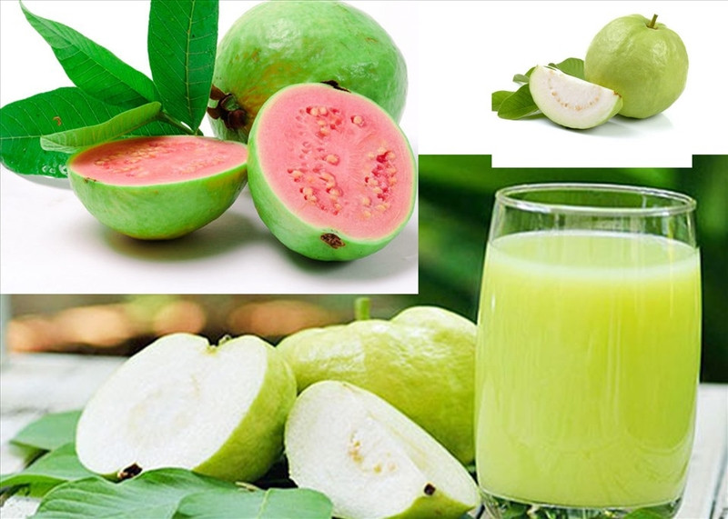 Nước Ép Ổi Mix Với Gì? Hơn 10 Công Thức Thơm Ngon Bổ Dưỡng Cho Cả Gia Đình