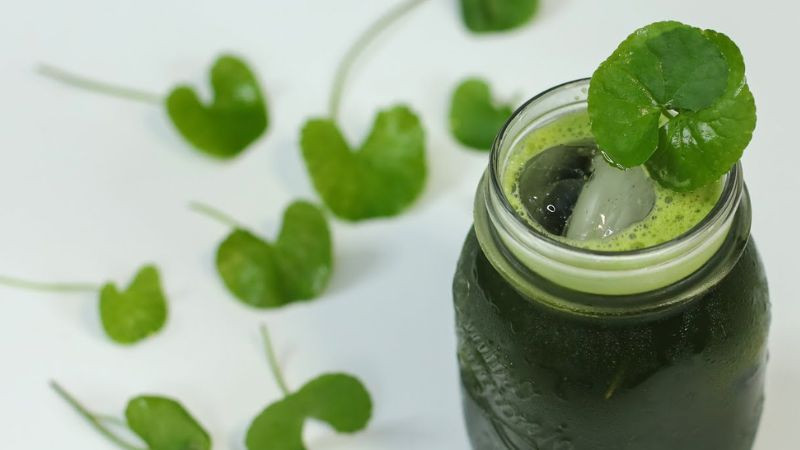 Nước ép rau má giúp thanh nhiệt, làm đẹp da và là nước uống giảm cân cho mẹ cho con bú hiệu quả