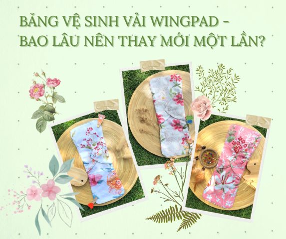 Phụ nữ nên thay băng vệ sinh vải Wingpad bao lâu 1 lần để đảm bảo vệ sinh