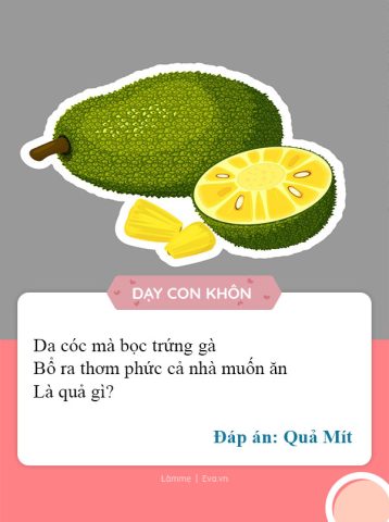 Câu Đố Các Loại Trái Cây Hấp Dẫn Giúp Bé Thông Minh