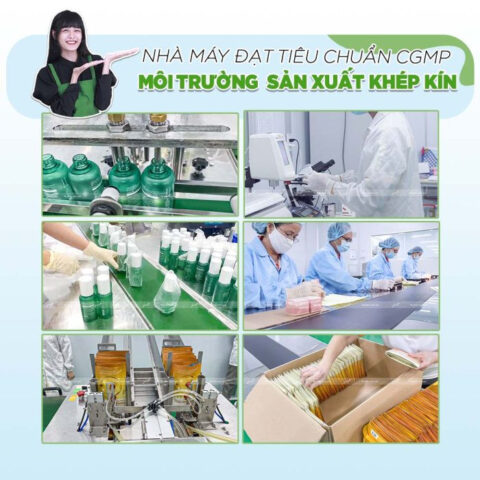 Quy trình sản xuất kem dưỡng thể cho bà bầu tại nhà máy GUO đạt chuẩn chất lượng