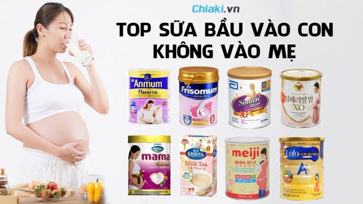 Sữa bầu nào tốt nhất hiện nay: Hướng dẫn toàn diện cho mẹ