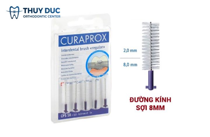 Bàn Chải Kẽ Răng Loại Nào Tốt? Hướng Dẫn Toàn Diện Từ Chuyên Gia