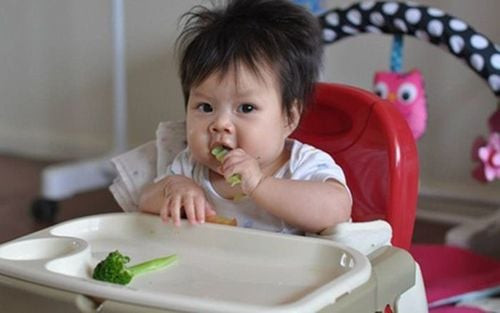 Thực Đơn BLW Bé 7 Tháng: Hướng Dẫn Chi Tiết & An Toàn