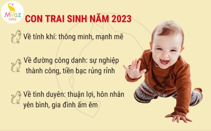 Tên Hay Cho Bé Trai 2023: Gợi Ý Ý Nghĩa Và Hợp Phong Thủy