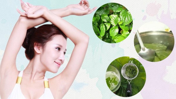 Sử dụng lá trầu không để triệt lông nách hiệu quả tại nhà, an toàn cho da
