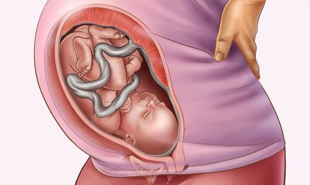 Thai Nhi 36 Tuần: Các Chỉ Số Quan Trọng và Phát Triển Toàn Diện - image 1