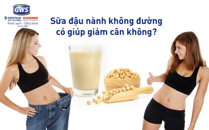Sữa đậu nành không đường có giúp giảm cân không?