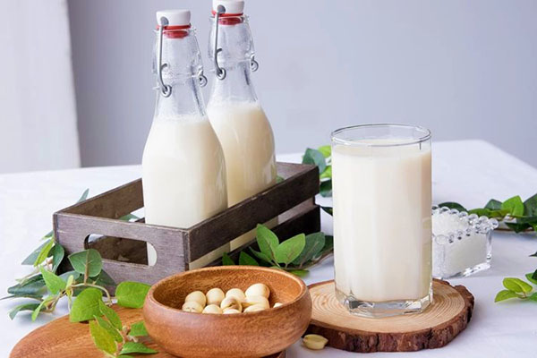 Sữa hạt sen - Thức uống vàng cho sức khỏe và giấc ngủ