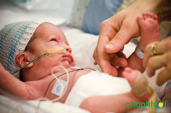 Sữa Similac Neosure Mỹ có tốt không cho bé