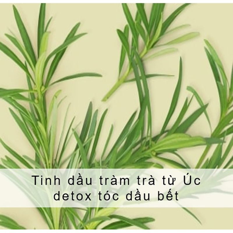 Sữa tắm Love Beauty And Planet Pure And Positive với tràm trà và cỏ hương bài