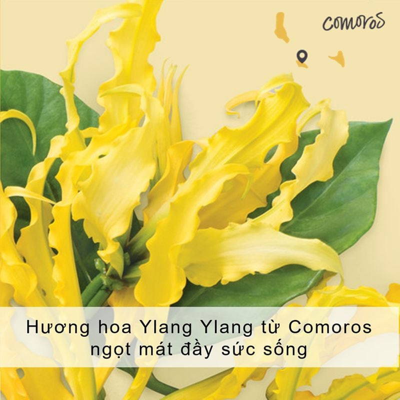 Sữa tắm Love Beauty And Planet Tropical Refresh với dầu dừa và ngọc lan tây
