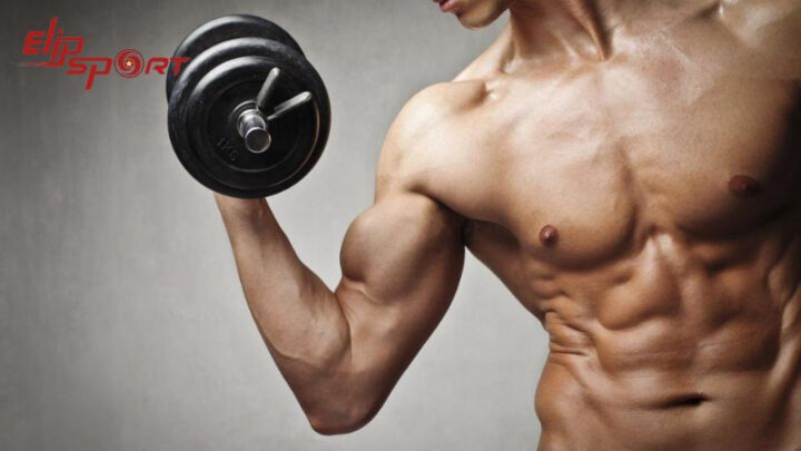 Sữa tươi không đường cung cấp protein dồi dào hỗ trợ xây dựng cơ bắp