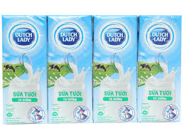 Thùng Sữa Cô Gái Hà Lan: Thông Tin Chi Tiết Và Giá Trị Dinh Dưỡng