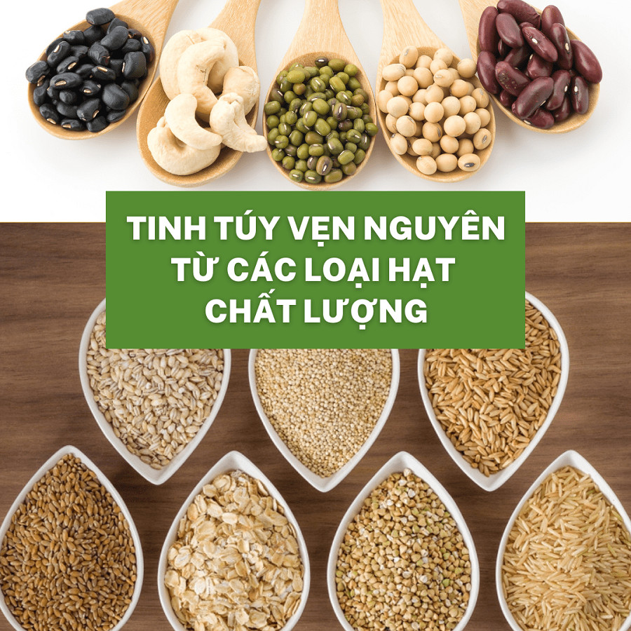 Tầm quan trọng của việc biết ngũ cốc gồm những hạt gì để lựa chọn đúng