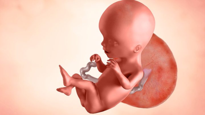 Thai 17 tuần là mấy tháng: Hành trình phát triển và chăm sóc toàn diện