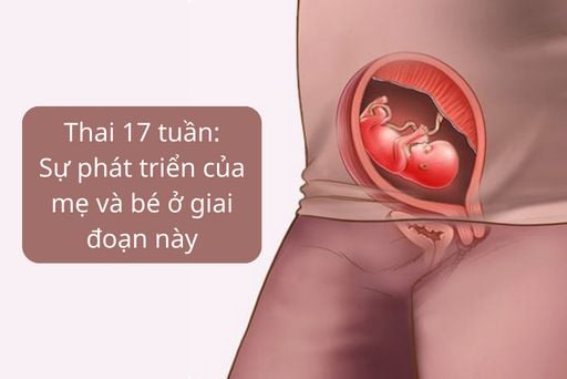 Thai 17 Tuần Nặng Bao Nhiêu Gam: Cẩm Nang Toàn Diện Về Sự Phát Triển Của Bé Và Mẹ