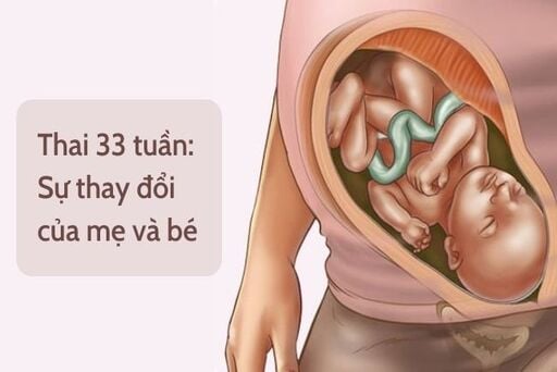 Sự Phát Triển Của Thai Nhi Tuần Thứ 33: Cẩm Nang Toàn Diện Cho Mẹ Bầu
