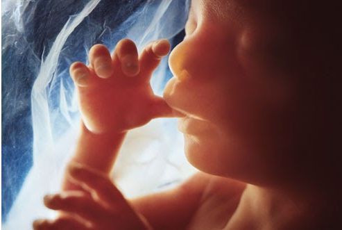Thai Giáo 3 Tháng Giữa Thai Kỳ: Hướng Dẫn Chi Tiết Để Bé Phát Triển Toàn Diện