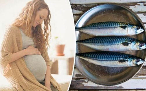 Thai phụ không nên ăn quá nhiều cá nục, trung bình một tuần nên ăn từ 1-2 bữa