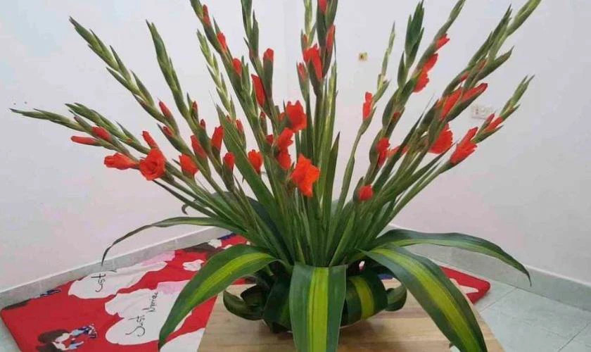 Thành phẩm cách cắm hoa lay ơn bàn thờ đẹp, tươi tắn và trang nhã