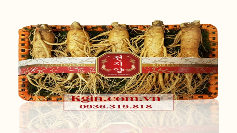 Mặt Nạ Nhân Sâm Hàn Quốc: Bí Quyết Dưỡng Da Toàn Diện
