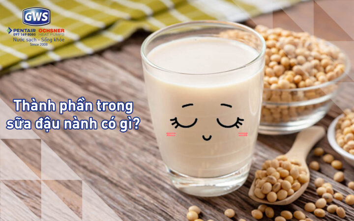 Thành phần trong sữa đậu nành có gì?
